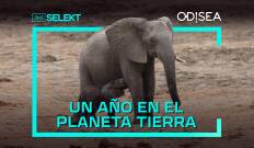 Un año en el planeta Tierra