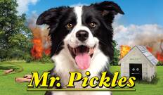 Mr. Pickles