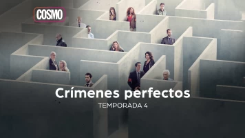 Crímenes perfectos