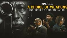 A Choice of Weapons: Inspired by Gordon Parks