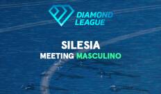 Meeting. Meeting: Silesia