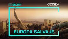 Europa salvaje