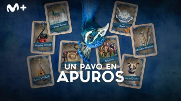 Un pavo en apuros