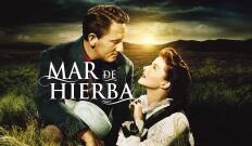 Mar de hierba