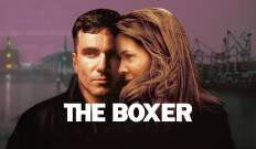 The Boxer