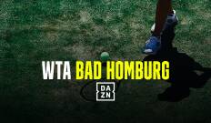 WTA: Bad Homburg. T(2024). WTA: Bad Homburg (2024): Shnaider - Vekic