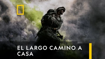 El largo camino a casa