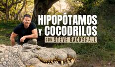 Hipopótamos y cocodrilos con Steve Backshall