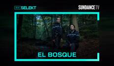 El bosque