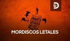 Mordiscos letales