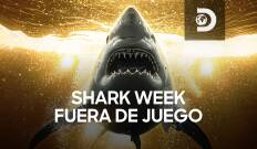 Shark Week: detrás de cámaras