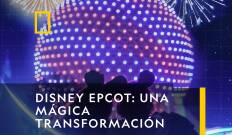 Disney EPCOT: una mágica transformación