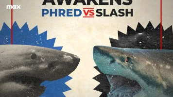 Batalla de tiburones: Phred vs. Slash