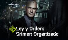 Ley y Orden: Crimen organizado