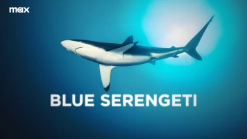 Blue Serengeti