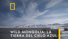 Wild Mongolia: la tierra del cielo azul