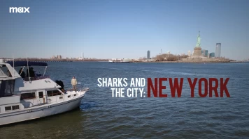 Tiburones en Nueva York