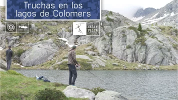 Truchas en los lagos de Colomers