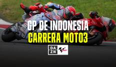 GP Indonesia. T(2024). GP Indonesia (2024): Carrera Moto3