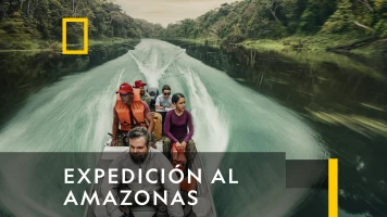 Expedición Al Amazonas