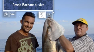 Desde Barbate al vivo