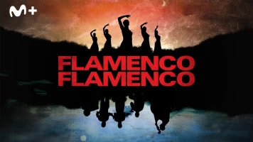 Flamenco, Flamenco