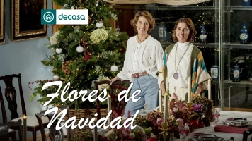 Flores de Navidad