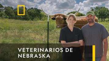 Veterinarios de Nebraska