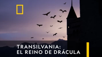 Transilvania: El Reino De Drácula