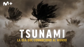 Tsunami: la ola que conmocionó al mundo