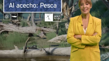 Al acecho pesca