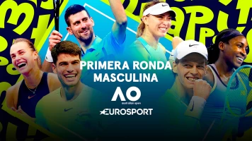 Masculino. Masculino: Pouille - Zverev