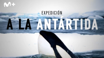 Expedición a la Antártida