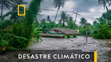 Desastre climático