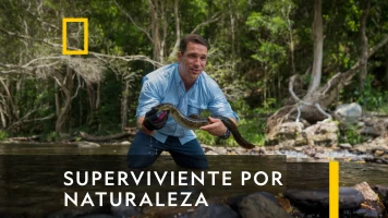Superviviente por naturaleza