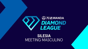 Meeting. Meeting: Silesia
