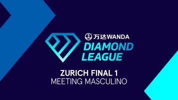 Meeting. Meeting: Zurich Final I