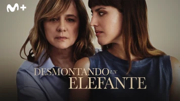 Desmontando un elefante