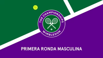 Masculino. Masculino: Muller - Djokovic