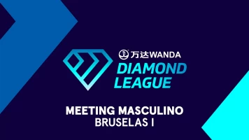 Meeting. Meeting: Bruselas