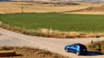 Ruta 17