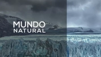 Mundo Natural