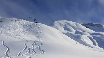 Grand Prix ISU: Trofeo NHK. T(25/26). Grand Prix ISU:... (25/26): Femenino - Programa corto