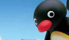 Pingu