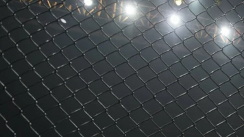 Ultimate Fighting Championship