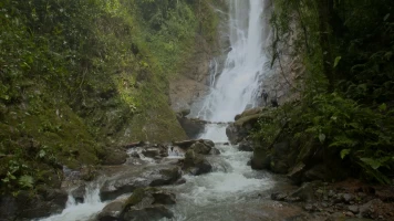 Turismo rural en el mundo