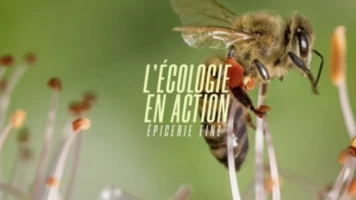 L'écologie en action