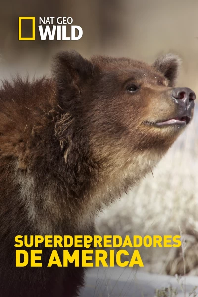 Superdepredadores de América