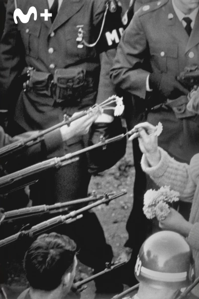 La Guerra de Vietnam. La Guerra de Vietnam: Persiguiendo fantasmas