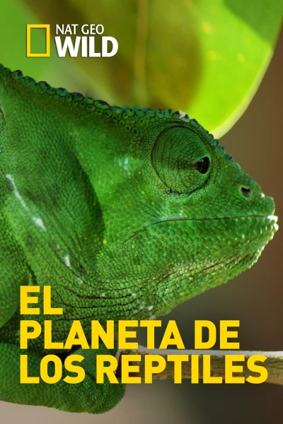 El planeta de los reptiles